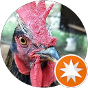 Michael Gossett profile picture